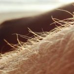 epilation bras