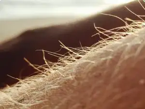 Diagnostic épilation définitive bras - Institut de beauté Estética Beauté