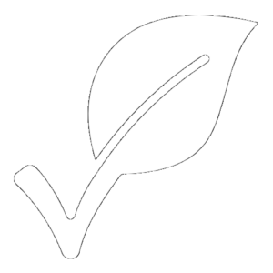 Vegan
